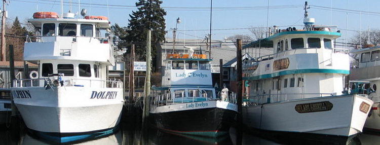 Things to do in Long Island NY - Long Island NY Attractions - Best